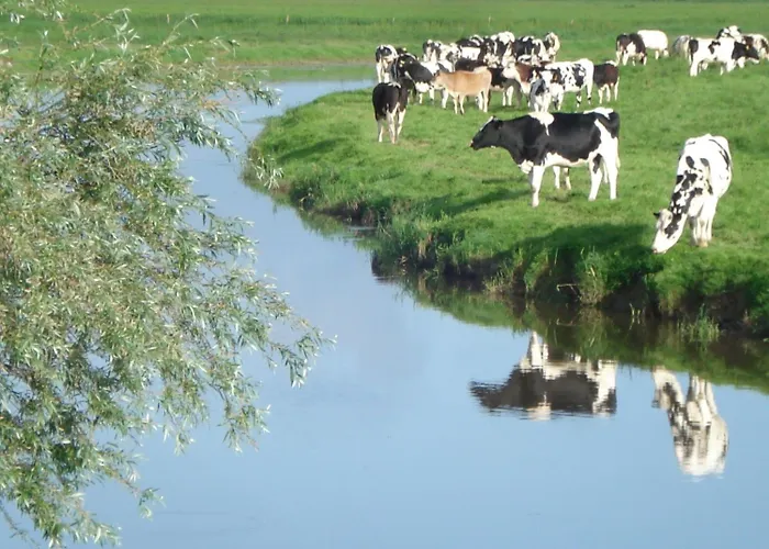 Guest house Relais De La Liberte - Utah Sainte-Marie-du-Mont (Manche)